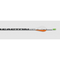 Easton 6MM Da Torch Shaft 12*