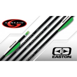 Easton XX75 Genesis Shaft 12*