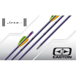 Easton XX75 Jazz Purple Arrow Easton Made 72*