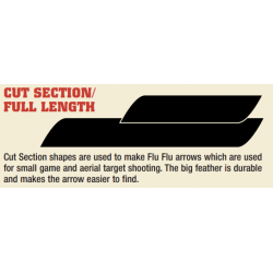 Easton Gateway Feathers 8 Inch 100*