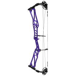 Elite Archery Compound Bow Rezult Target*