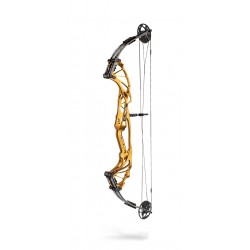 Hoyt Compound Bow Prevail CLEARANCE*