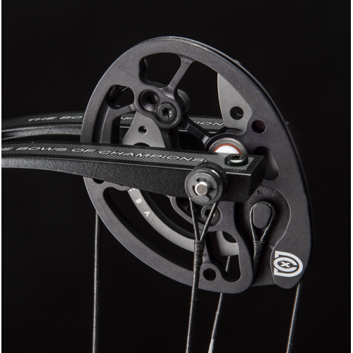 HOYT DCX Cam Module Set Pair*