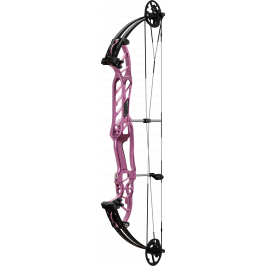 Hoyt Compound Bow Stratos SVX 36 Target*