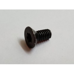 HOYT X3 DFX Cam Screw*