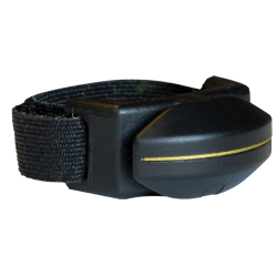 Specialty Archery Ring Blade*