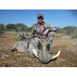 Staff and Staff Shooters